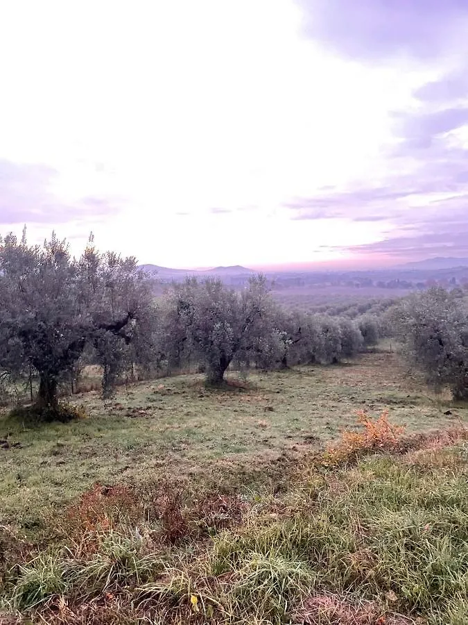 Holiday home New Remodel & Garden - Entire House - Exclusive Use Villa Sassofortino